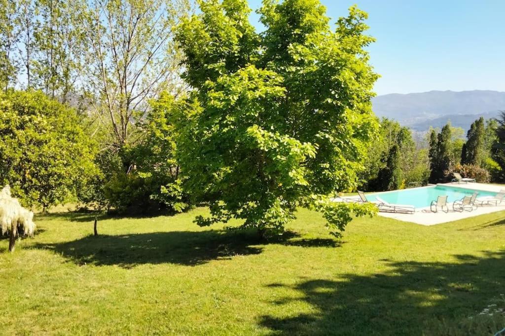 Confort, Fun And Leisure In Douro Rural Space Sande  Exteriör bild